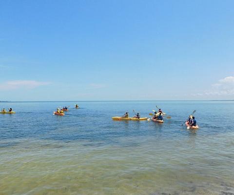 Voyage linguistique à Miami/USA - OHLA Miami