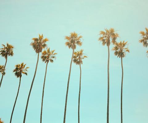 Cours d'anglais à Santa Barbara aux Etats-Unis/USA