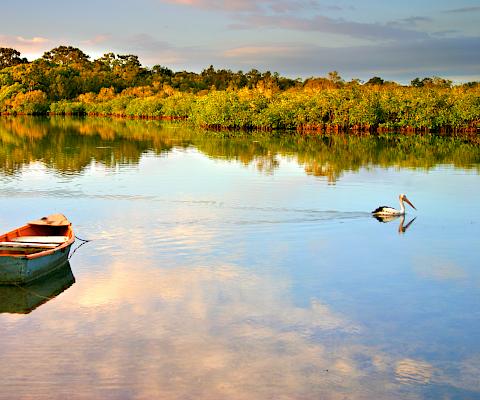 Voyage linguistique à Noosa en Australie