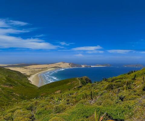 Séjour linguistique à Auckland en Nouvelle-Zélande