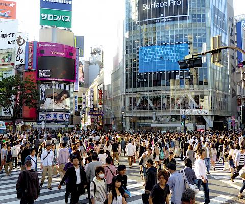 Séjour linguistique à Tokyo au Japon