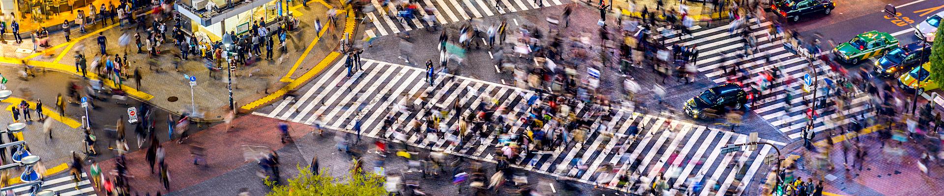 Tokyo : Le séjour linguistique dont vous aviez toujours rêvé !