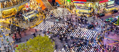 Tokyo : Le séjour linguistique dont vous aviez toujours rêvé !