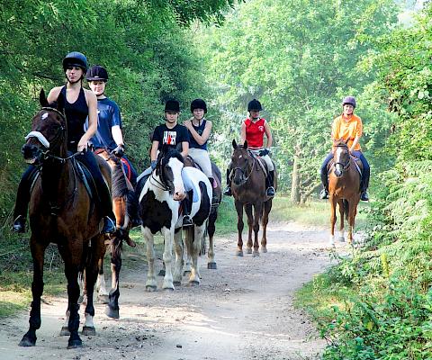 Stage d'équitation au Royaume-Uni - Oundle Exsportise