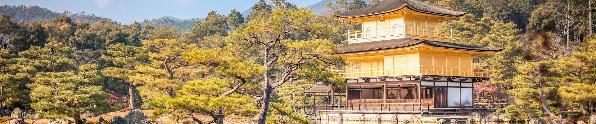 Kyoto : Un séjour linguistique au pays des samouraïs