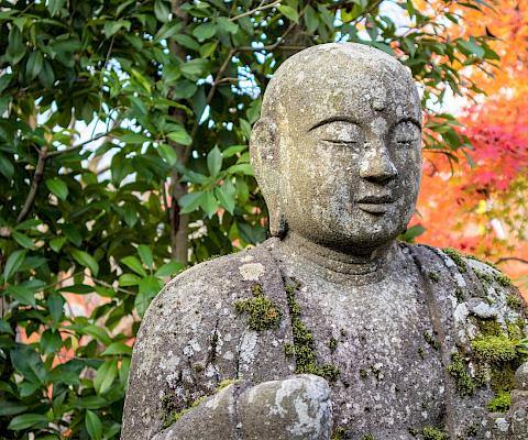 Voyage linguistique à Kyoto au Japon