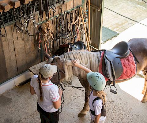 Stage d'équitation pour ados en Espagne - Enforex