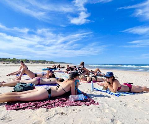 Année de césure à Byron Bay en Australie