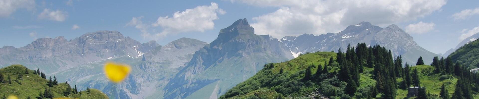 Summer Camp Suisse