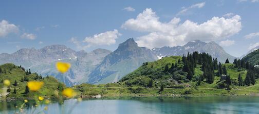 Summer Camp Suisse